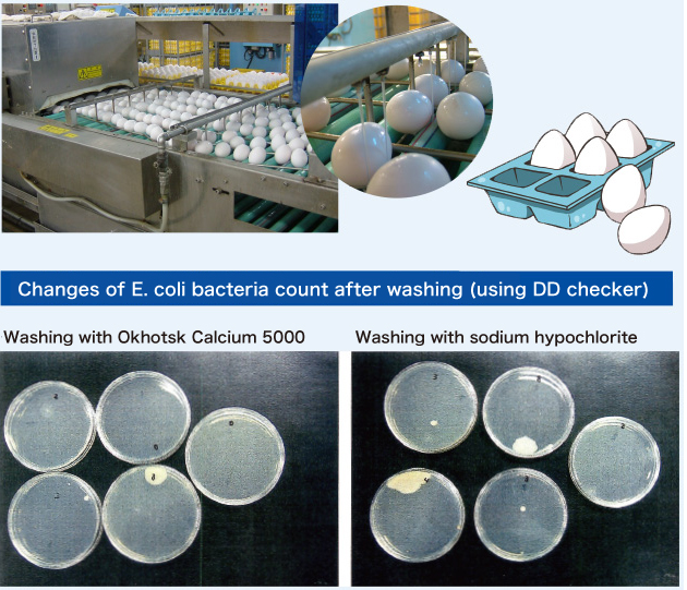 画像：Changes of E. coli bacteria count after washing (using DD checker)